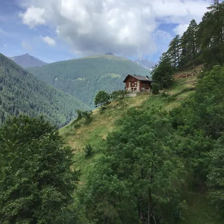 Apartment Berghof L'aret In Val Di Rabbi Piazzola