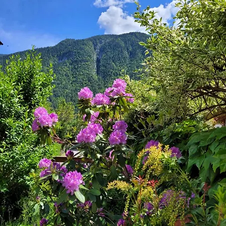 Berghof L'aret In Val Di Rabbi Piazzola