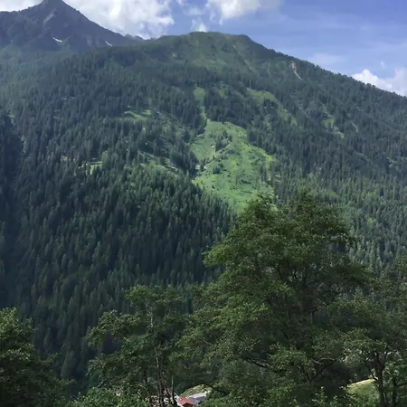 Berghof L'aret In Val Di Rabbi Apartment Piazzola